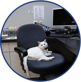 Review Wisdom Animal Clinic in Texarkana